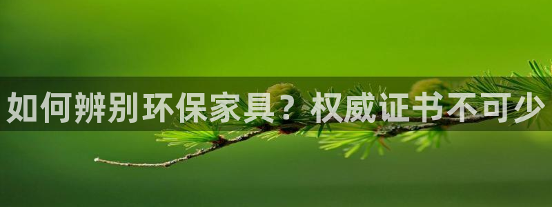 杏耀平台登陆地址
