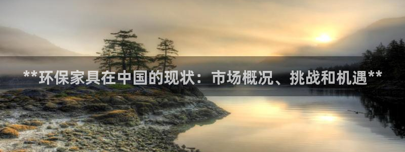 杏耀代理日工资多少