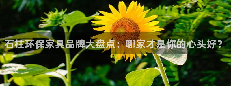 杏耀平台登陆地址