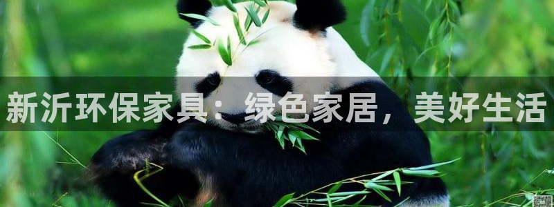 杏耀网址官网