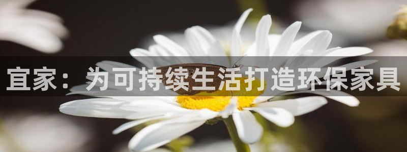 杏耀平台还在吗
