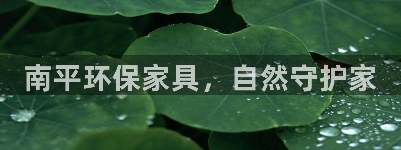 杏耀平台代理