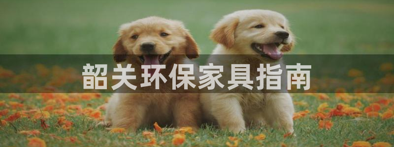 杏耀登陆