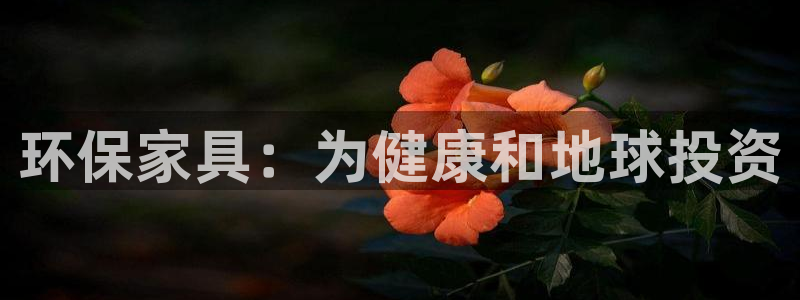 杏耀平台服务中心怎么样