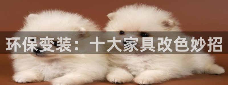 杏耀平台的专用通道