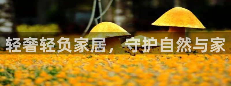 杏耀官网主管