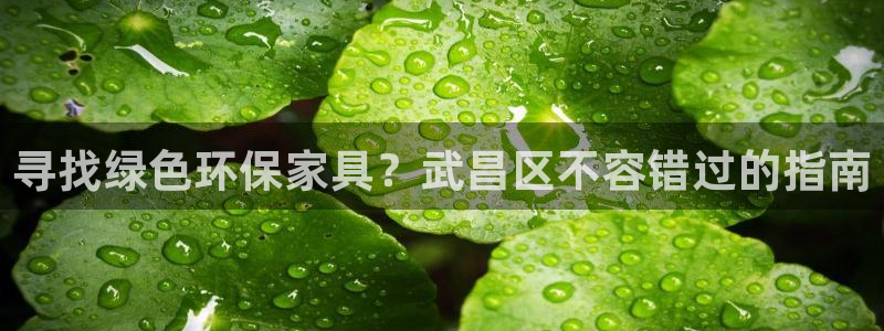 杏耀3代理：寻找绿色环保家具？武昌区不容错过的指南