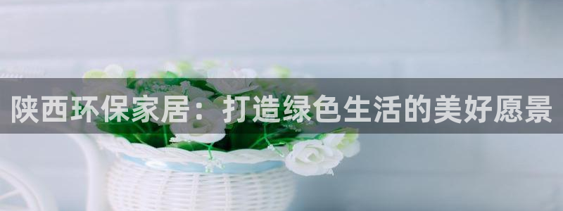杏耀管网登录：陕西环保家居：打造绿色生活的美好愿景