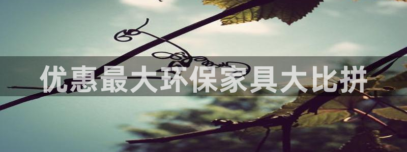 杏耀测速登录地址：优惠最大环保家具大比拼