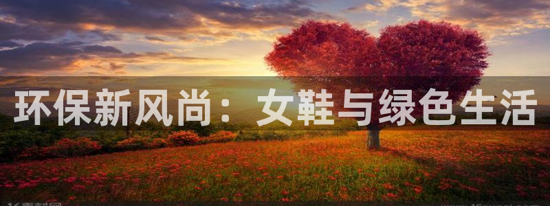 杏耀如何注册：环保新风尚：女鞋与绿色生活