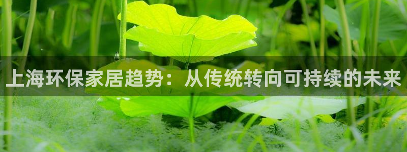 杏耀平台代理登录网址是多少：上海环保家居趋势：从传统转向可持