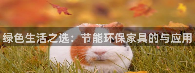 杏耀开户app下载：绿色生活之选：节能环保家具的与应用