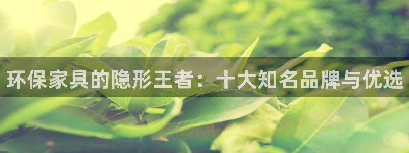 杏耀平台线路测试：环保家具的隐形王者：十大知名品牌与优选