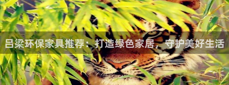 杏耀平台线路测速登录：吕梁环保家具推荐：打造绿色家居，守护美