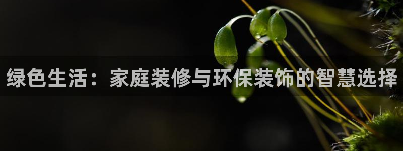 杏耀线路5检测：绿色生活：家庭装修与环保装饰的智慧选择