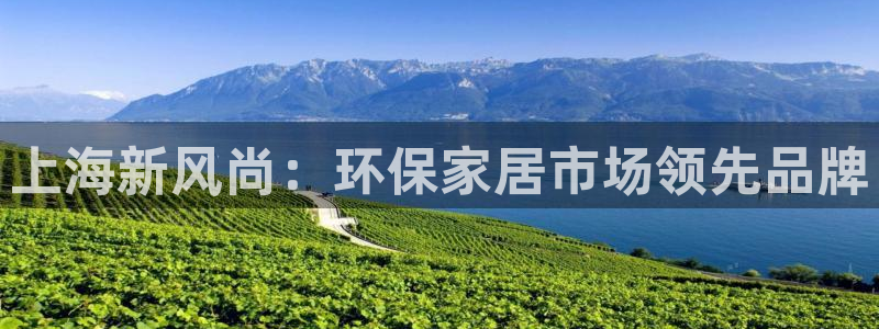 杏耀平台代理怎么赚钱：上海新风尚：环保家居市场领先品牌