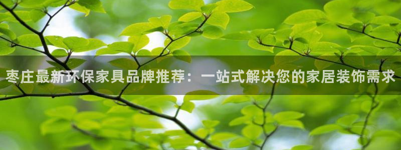杏耀平台客服：枣庄最新环保家具品牌推荐：一站式解决您的家居装