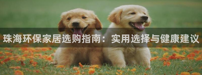 杏耀平台登录网址：珠海环保家居选购指南：实用选择与健康建议