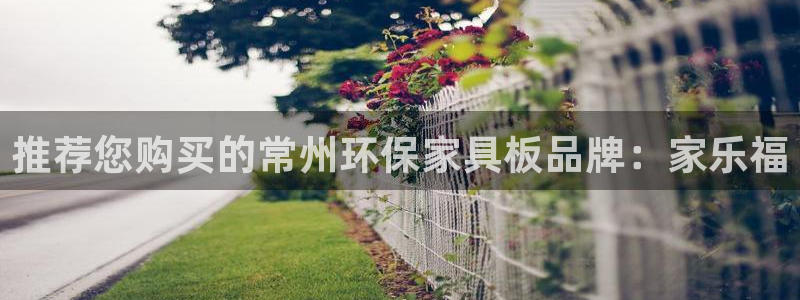 杏耀测速登录地址：推荐您购买的常州环保家具板品牌：家乐福