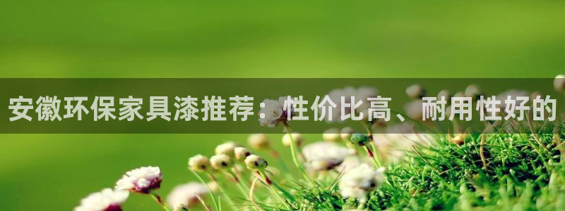 杏耀代理注册中心：安徽环保家具漆推荐：性价比高、耐用性好的