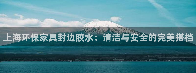 杏耀平台线路测试：上海环保家具封边胶水：清洁与安全的完美搭档