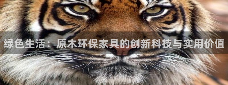 杏耀官方网：绿色生活：原木环保家具的创新科技与实用价值