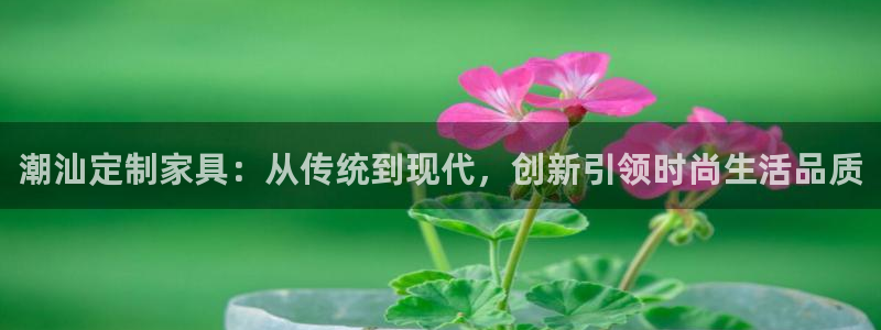 杏耀官网登录：潮汕定制家具：从传统到现代，创新引领时尚生活品