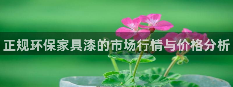 杏耀平台黑款：正规环保家具漆的市场行情与价格分析