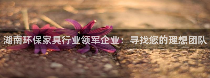 杏耀官网网站