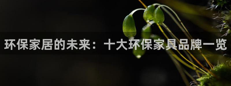 杏耀平台官方登录：环保家居的未来：十大环保家具品牌一览