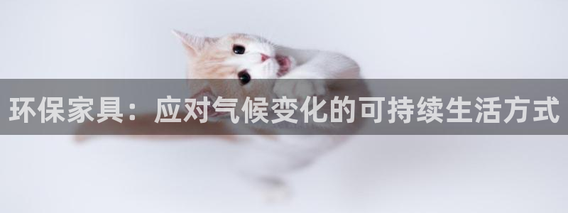 杏耀总代理