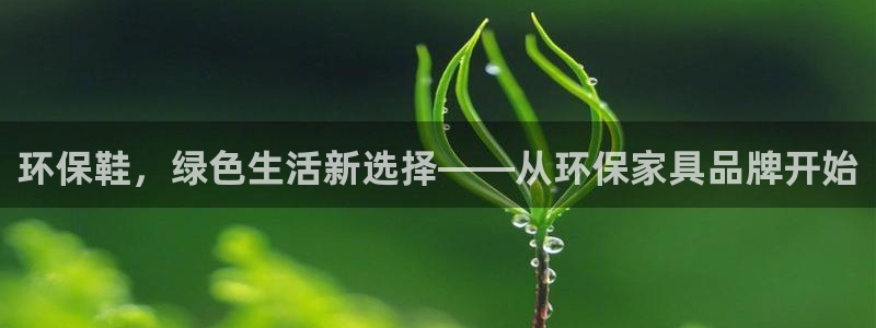 杏耀平台注册入口：环保鞋，绿色生活新选择——从环保家具品牌开