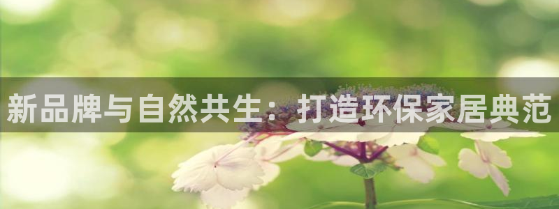 杏耀平台几年了：新品牌与自然共生：打造环保家居典范