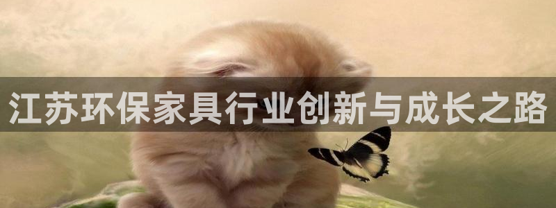 杏耀平台可以提款吗：江苏环保家具行业创新与成长之路