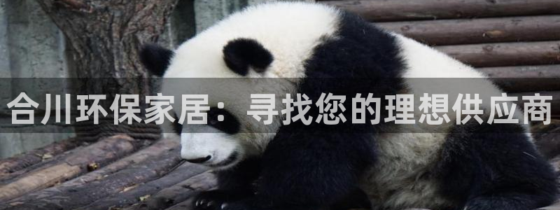 杏耀平台已7O777：合川环保家居：寻找您的理想供应商