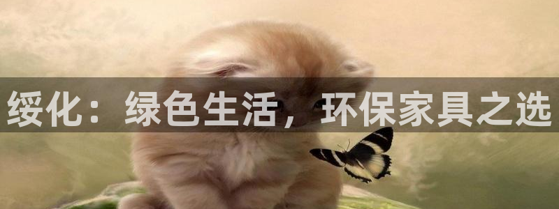 杏耀代理注册开户：绥化：绿色生活，环保家具之选